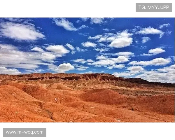 青海选手季海英黄山赛夺冠 创下1小时30分33秒新纪录 青海选手季海英黄山赛夺冠 创下1小时30分33秒新纪录